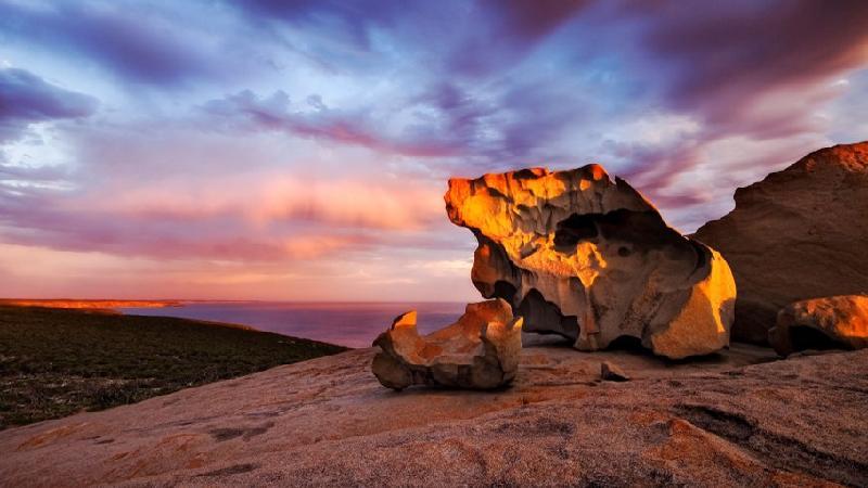 Join us on our Kangaroo Island Tour where we will introduce you to some of the best South Australian most abundant and unique natural beauty to be found anywhere in Australia.